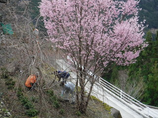 作業風景の写真　２枚目