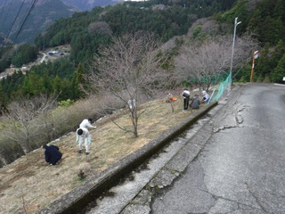 作業風景の写真　１枚目