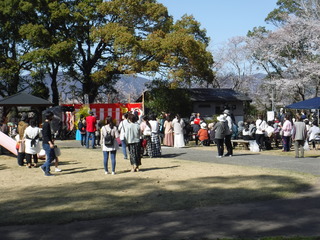 菜の花フェスタ開催の様子