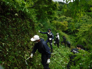 作業風景の写真