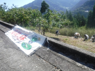 作業の様子の写真