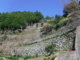 高開の石積みの写真