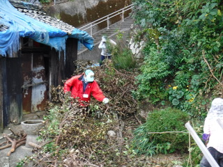 枝を収集している写真です。