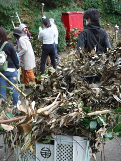 枝を収集している写真です。