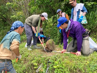植樹の作業中です