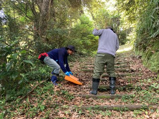 遊歩道の清掃をしています