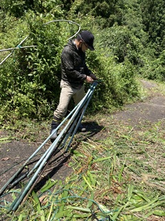 防獣ネットに使われていた支柱の回収中です