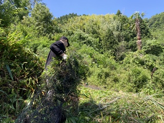 防獣ネットの回収作業です