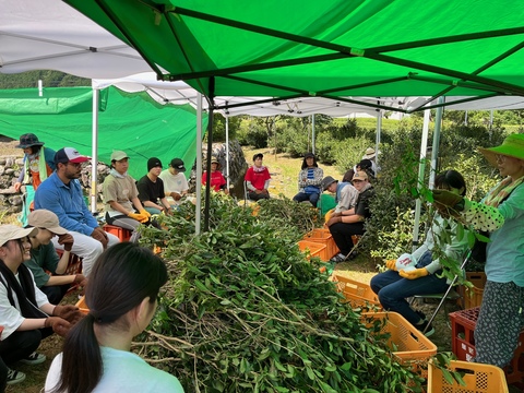 作業の説明をしています