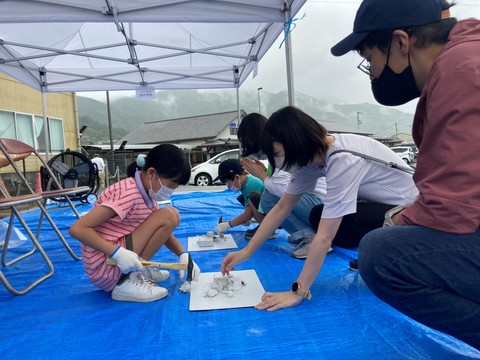 石膏で隠された恐竜のおもちゃを発掘しています