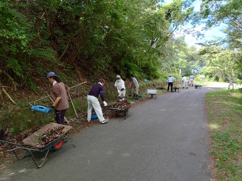 広い道を大人数力併せて作業しています