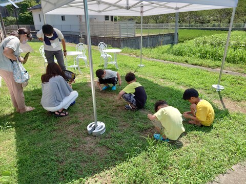 エリア内に落ちている天然石を参加者たちが探しています