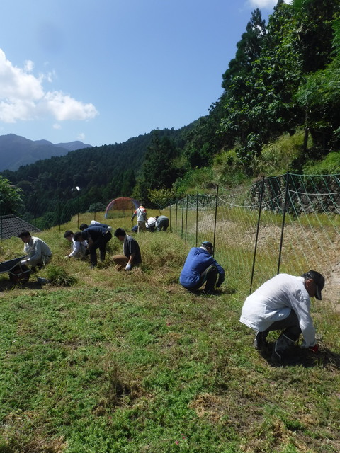 除草作業