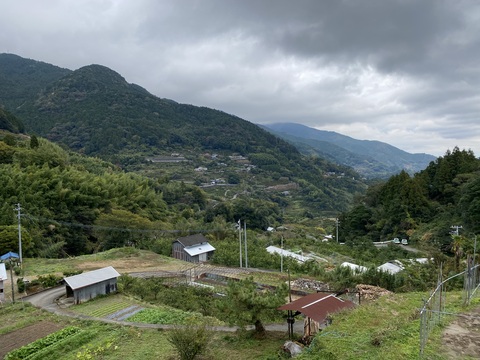 作業場所からの風景