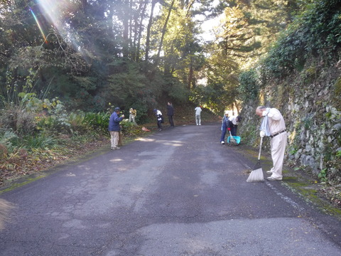 少し湿った道路脇に溜まった落ち葉を掃除しています