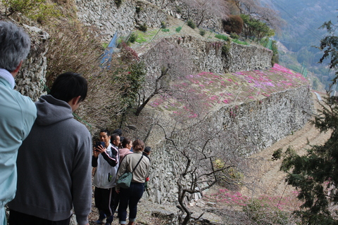 石積みの状況確認
