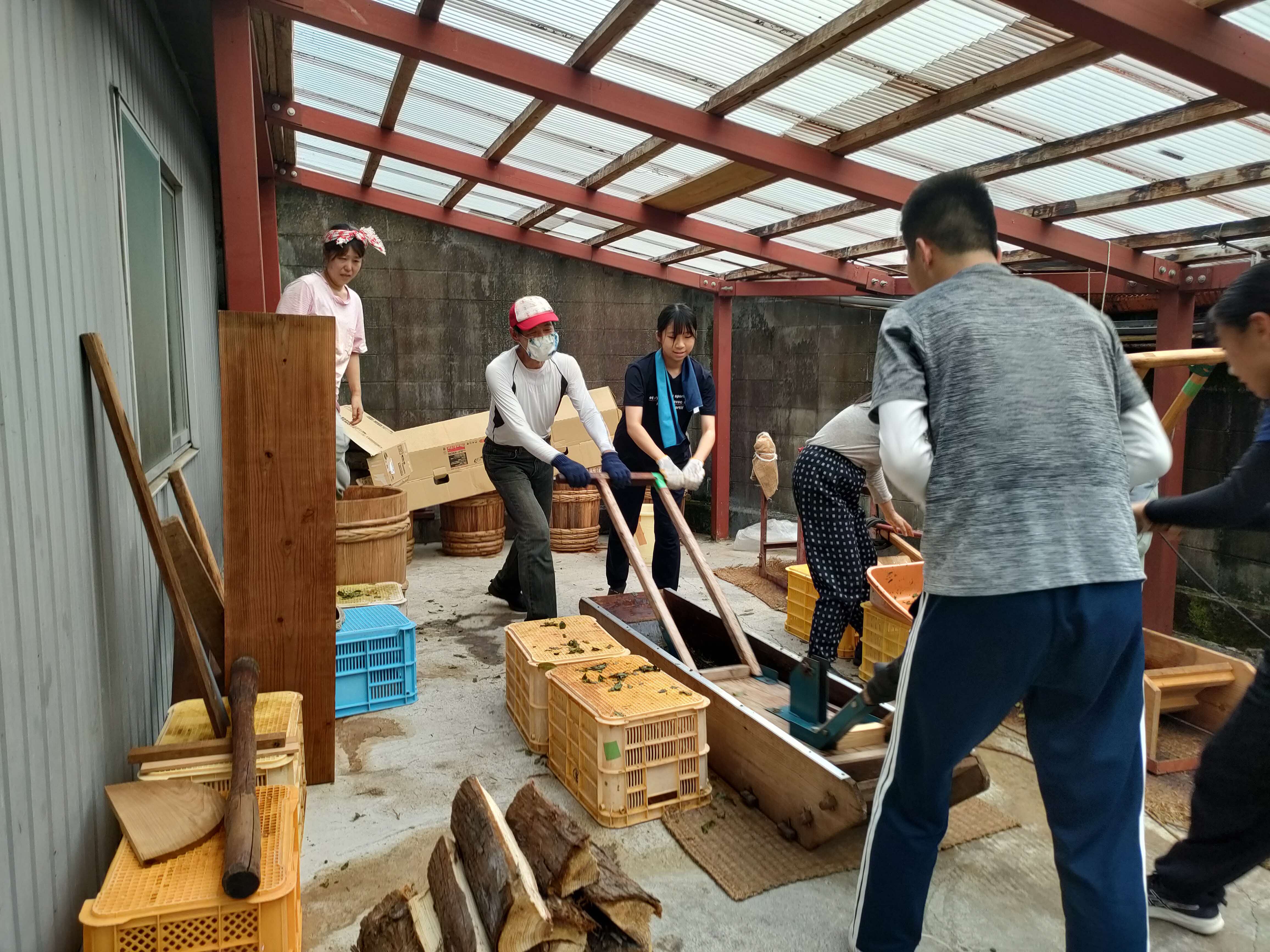 ③晩茶作り（茶擦り）