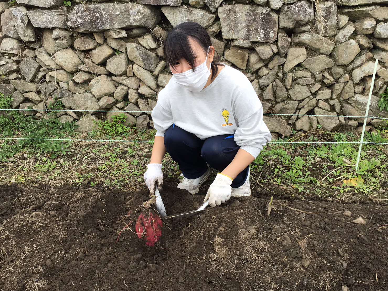 作業の様子①