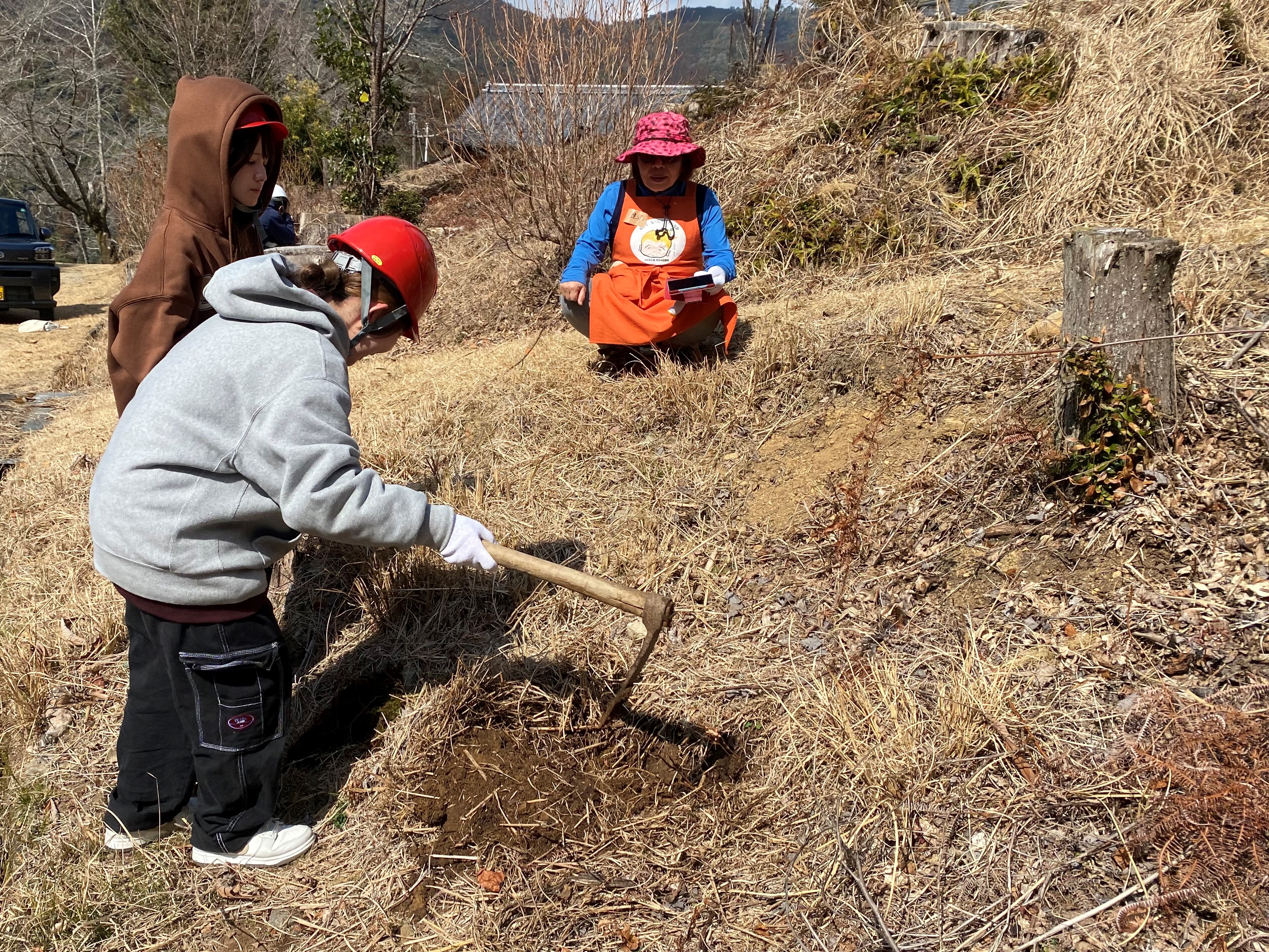 4オンツツジの定植